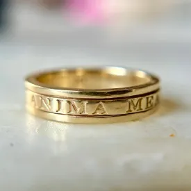 My Soul is in Your Hands Spinner Band